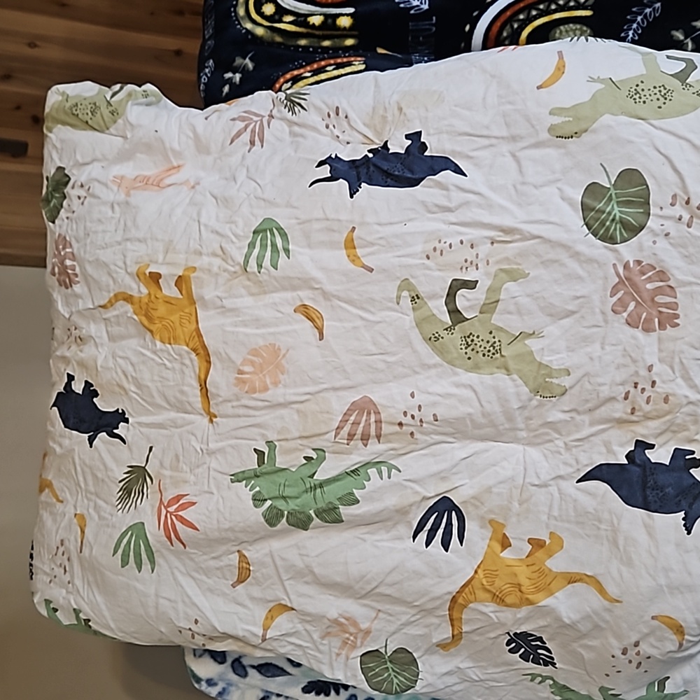 Twin dinosaurs  4 piece bedding